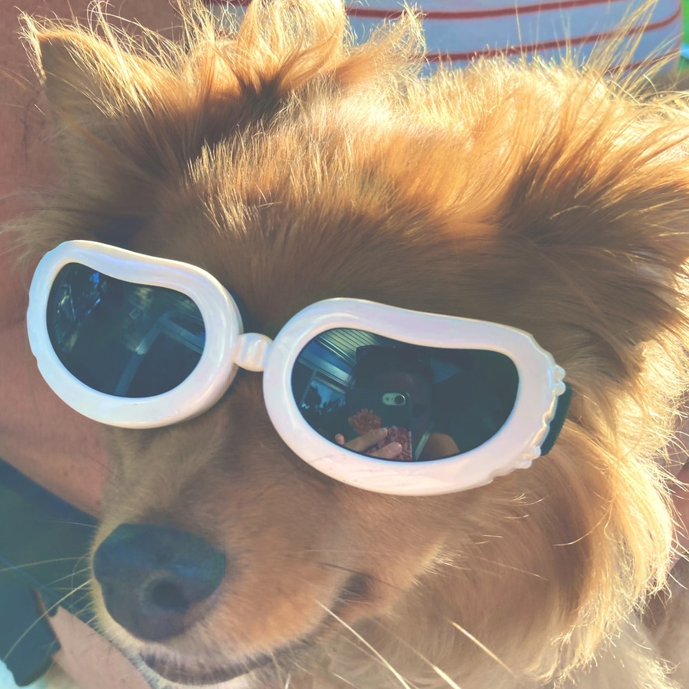 Cute stuff coming soon!!!💗✌️🌷✨🦩☀️